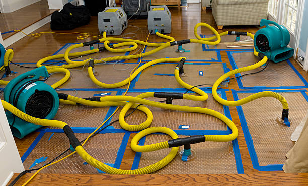Professional Flood Damage Restoration technician working in Springboro, OH